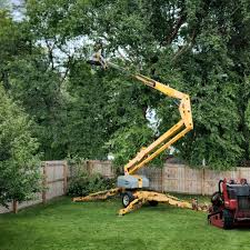 Best Tree Risk Assessment  in Waldo, AR